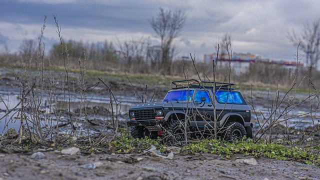 coche teledirigidos